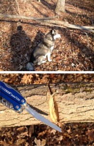 cutting_a_tree